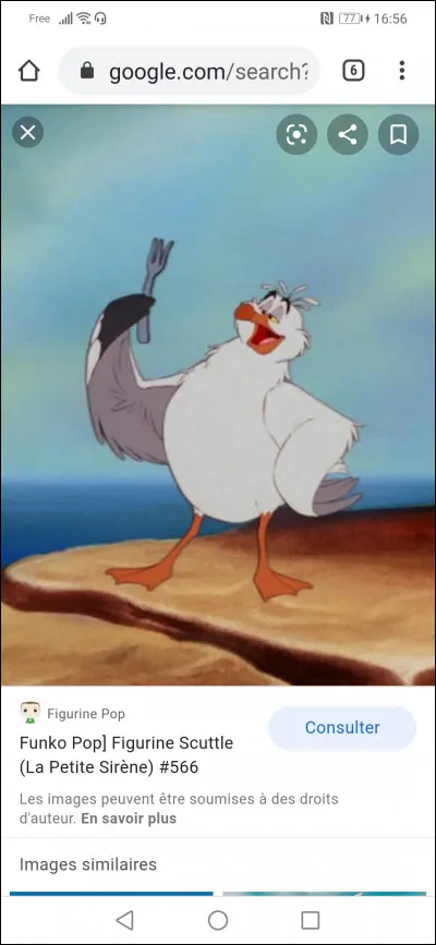 Comment s'appelle l'oiseau ?