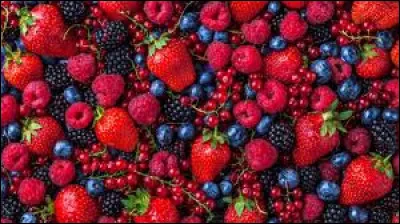 Quel fruit rouge préfères-tu ?