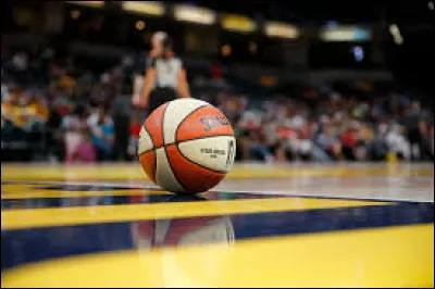La saison WNBA se déroule avec le même calendrier que celui de la NBA : d'octobre jusqu'aux finales en juin.
