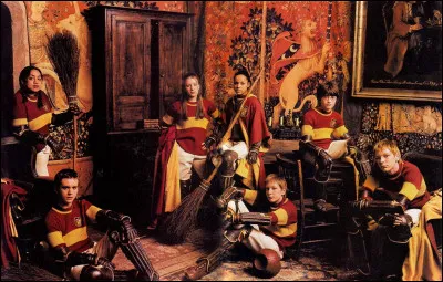 Quel &eacute;tait son r&ocirc;le dans l'&eacute;quipe de quidditch &agrave; Poudlard ?