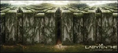 Une fête a lieu, que fais-tu ?