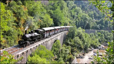 Celui-ci a trois parcours. Le Train des Gorges amène les passagers dans les inaccessibles Gorges du Doux. Le Mastrou sillonne la montagne ardéchoise et les châtaigneraies. En été, le Train du Marché circule tous les mardis matins vers le plus beau marché de la région. Quel est ce train ?
