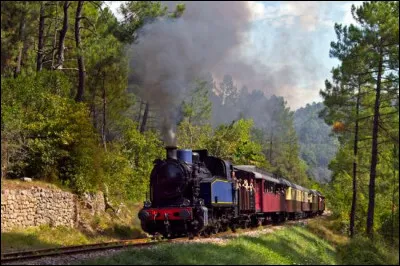 Entre Anduze et Saint-Jean-du-Gard le train circule sur 14 km dans la campagne cévenole. En descendant à la gare de la Bambouseraie, les voyageurs peuvent visiter ce domaine de 35 ha. À l'arrivée c'est une guinguette qui les attend. Quel est ce train ?