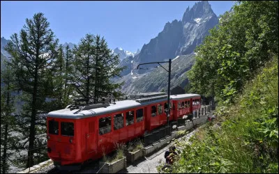Il part de Chamonix et amène ses passagers à 1913 m d'altitude. Ce train centenaire circule à flanc de montagne entre forêts, tunnels et viaducs jusqu'au site de la Mer de Glace. C'est...