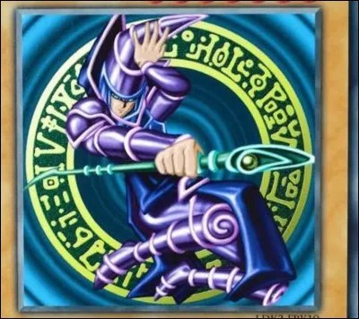 Donne le nom de cette image.