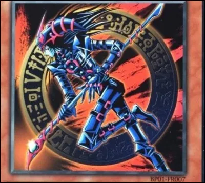 Donne le nom de cette image.