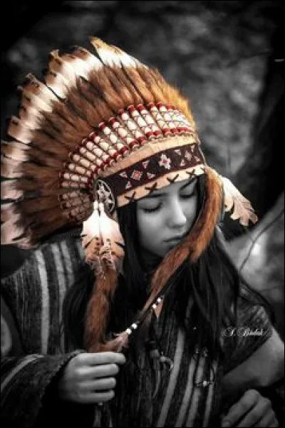 Qui jouait dans le film "Un Indien dans la ville" ?