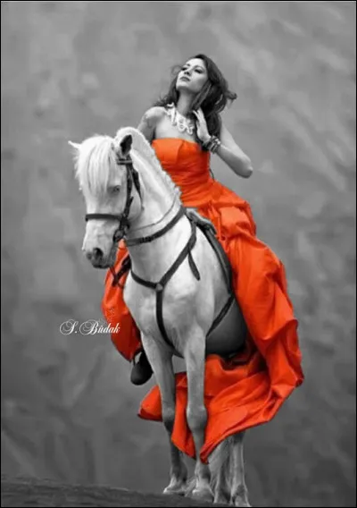 Stewball était une très ancienne chanson, interprétée en français par Hugues Aufray ! Il existe sa version anglaise, qui ne l'a pas chantée ?