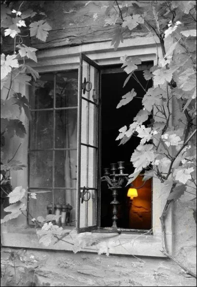 Quelle grande actrice jouait dans le film "Fenêtre sur cour" ?