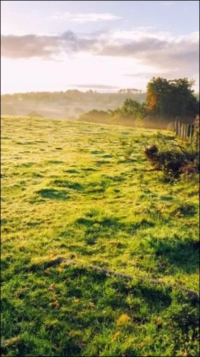 Plus tard, où te vois-tu habiter ?