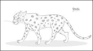 A qui Sheeba est le familier ?