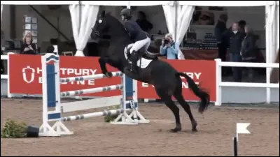 Quelle est la robe de ce cheval ?