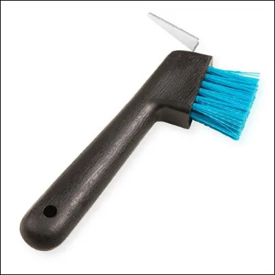 Comment s'appelle cette brosse ?