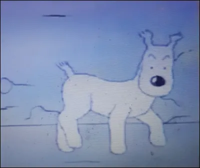 Milou suit la voiture mais de quelle manière  ?