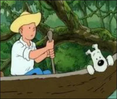 Pourquoi Tintin finit-il son trajet tout seul ?