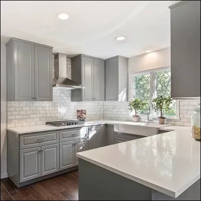 Puis à côté, se trouve une magnifique cuisine. Combien de pots de fleurs possède-t-elle ?