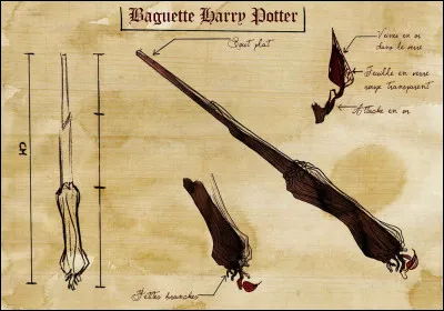 Niv 3 : Depuis quand la boutique d'Ollivander existe-t-elle ?