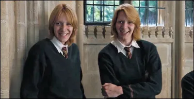Niv 2 : Comment s'appellent les jumeaux Weasley ?