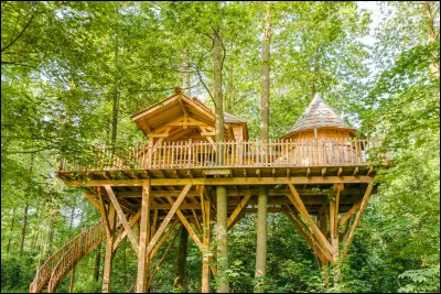 Niv 3 : Comment s'appelle l'hôtel où les Dursley et Harry vont pour échapper aux lettres de Poudlard ?