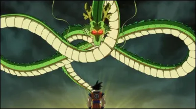 Combien y a-t-il de shenrons ?