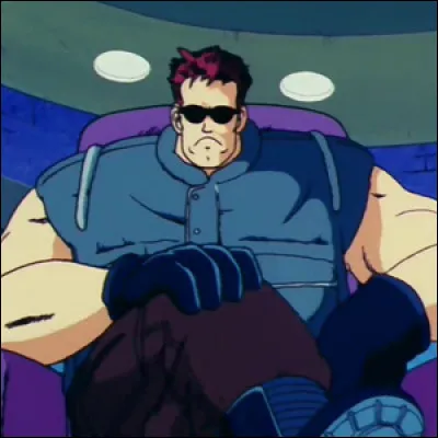 De quelle bande connue de Dragon Ball fait partie le sergent Métallic ?