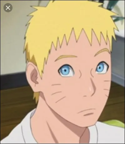 Qui est amoureuse de Naruto ?