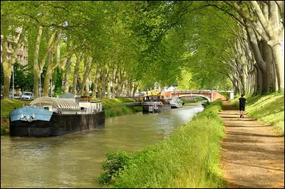 Le canal du Midi (Haute-Garonne, Aude, Hérault) a été conçu sous...