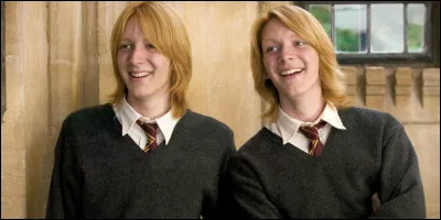 Qui joue les jumeaux Weasley ?