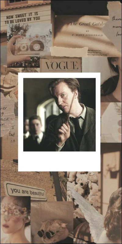 Quel acteur joue Remus Lupin ?