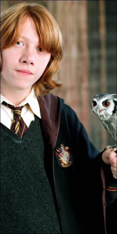 Qui joue Ron Weasley ?
