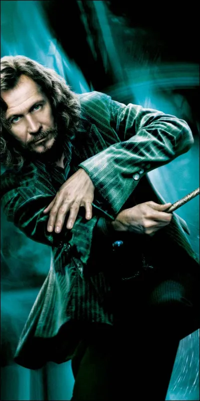 Qui joue Sirius Black ?