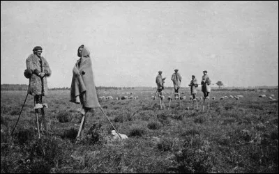 Oui, parce qu'il faut vous dire que les Landes, autrefois, c'était comme ça ! Qu'en dîtes-vous ?