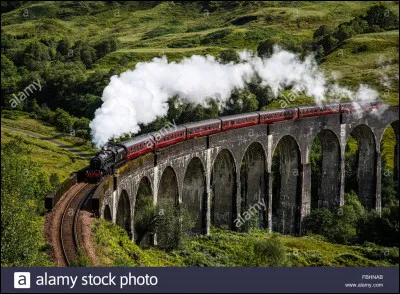 Te voilà dans le Poudlard Express, tes achats terminés. 
Que fais-tu ?