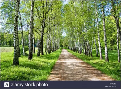 Que ferais-tu si tu te retrouvais seul en pleine nature ?