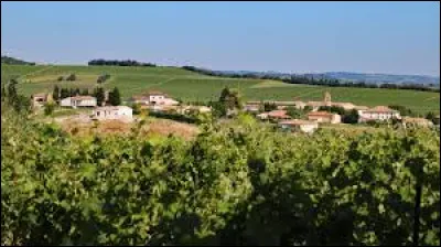 Village viticole occitan, dans l'aire urbaine de Limoux, Gaja-et-Villedieu se situe dans le département ...
