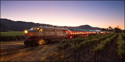De quels matériaux sont fait les trains ?