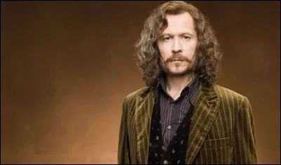 Comment s'appelle le frère de Sirius Black ?