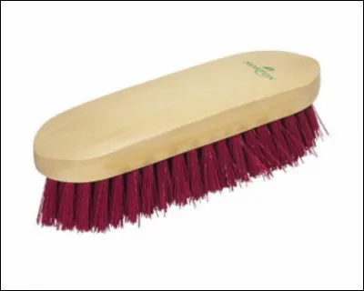Quelle est cette brosse ?