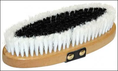 Quelle est cette brosse ?
