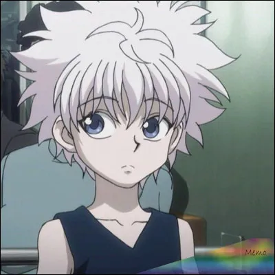 Aucun doute, c'est Killua Zoldyck de...