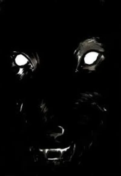 Il n'y a pas que des volcans éteints dans le Puy-de-Dôme, il y a aussi ...