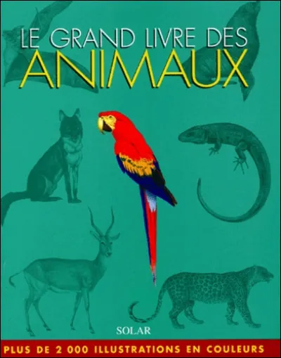 Cas comme casoar : pourquoi le casoar est-il consid&eacute;r&eacute; comme tr&egrave;s dangereux ?