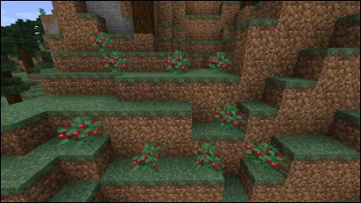 Les baies sucrées affligent des dégâts au joueur...