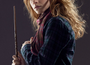 Test Qui serais-tu pour Hermione ?