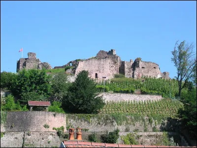 Comment s'appelle le château ?