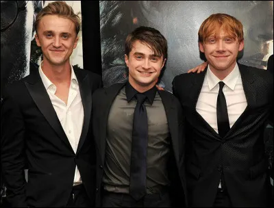 Quel garçon de Harry Potter aimes-tu le plus ?