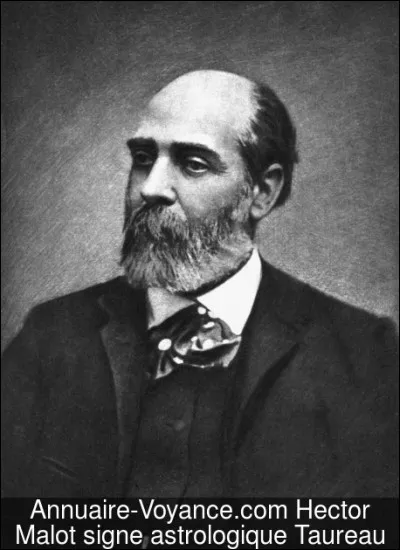 Mal comme Malot : dans le roman d'Hector Malot "Sans famille", qui est le frère de Rémi ?