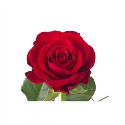 Mal comme Malherbe : Retrouvez quelques mots de sa poésie :