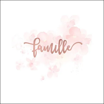 Mon frère a une s&oelig;ur. Ma s&oelig;ur a deux frères. Combien sommes-nous d'enfants ?