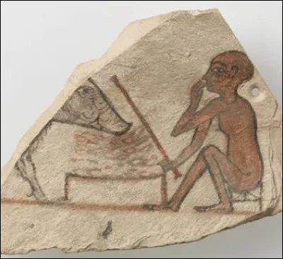 Les anciens égyptiens mangeaient-ils du cochon ?